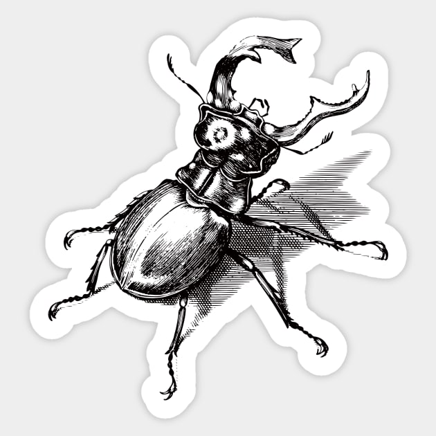 Dramabite Vintage stag beetle illustration Sticker by dramabite